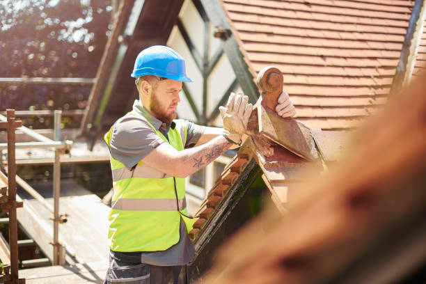 Best Roof Gutter Cleaning  in Foscoe, NC