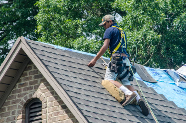 Best Roof Maintenance Services  in Foscoe, NC